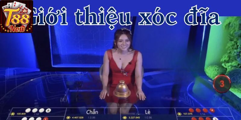 Khái niệm xóc đĩa T88 là gì